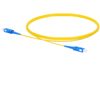 پچ کورد سینگل مود فیبر نوری SC- SC SX 2MM 1M UPC